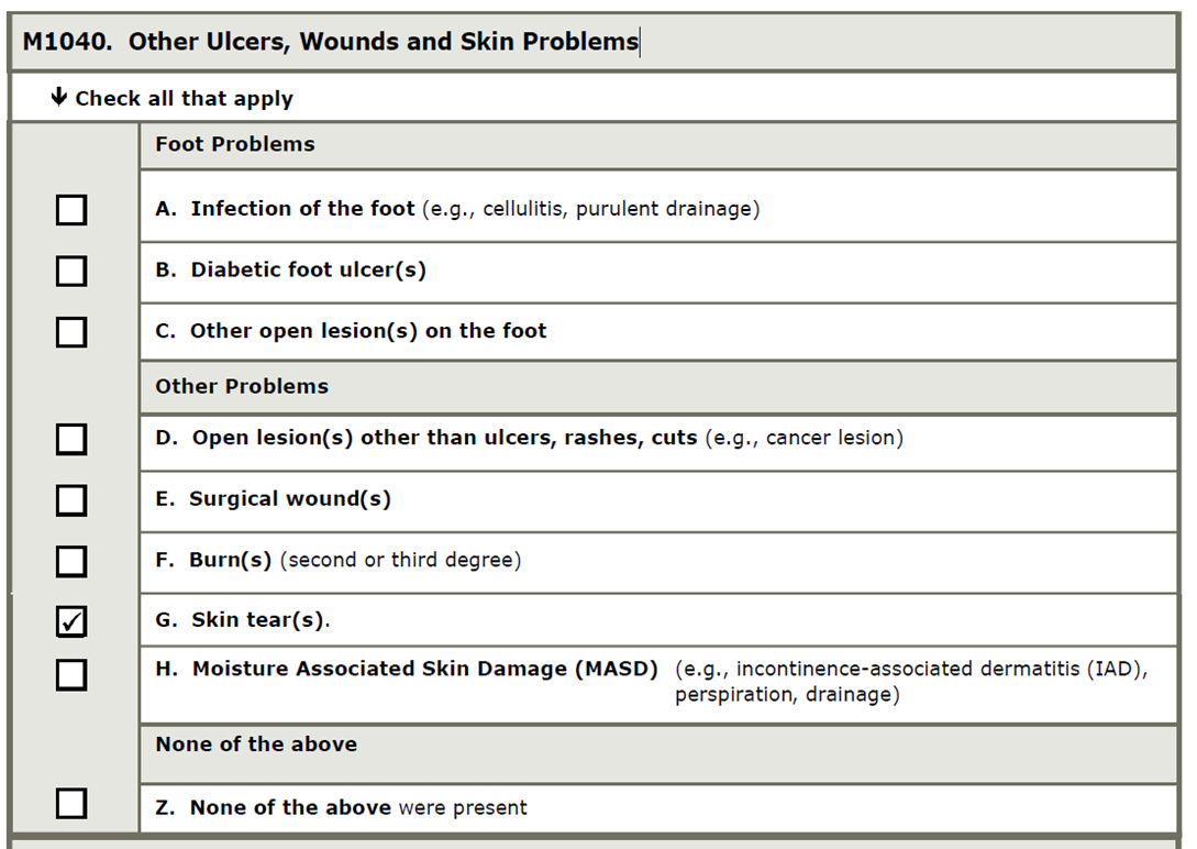 screen shot of M1040 Other Ulcers, Wounds and Skin Problems 