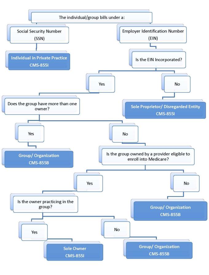 Enrollment decision tree