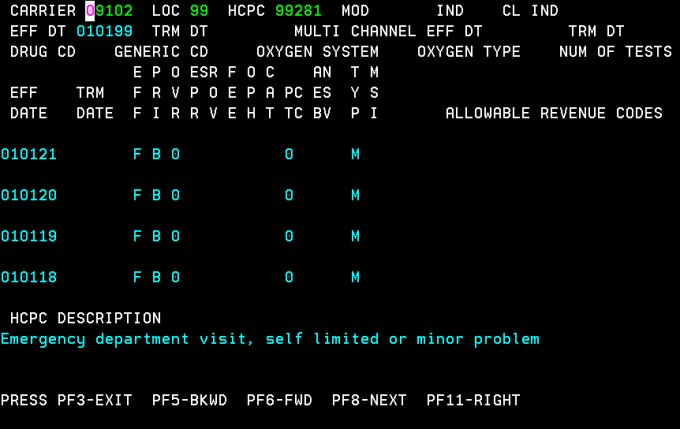 HCPCS inquiry screen 