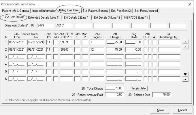 Line item details: MSP